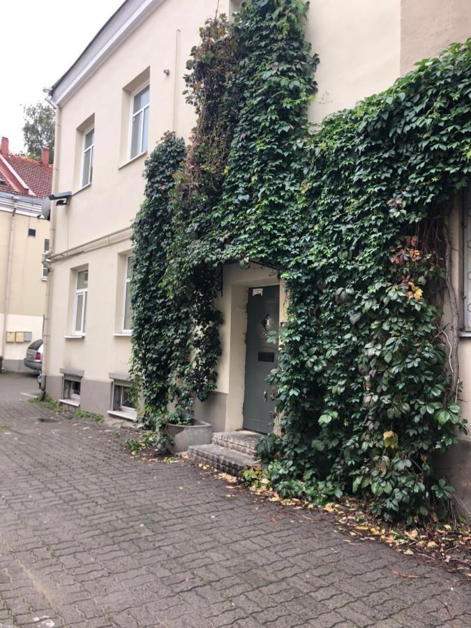 Angel House Vilnius, Dysnos Apartman Kültér fotó